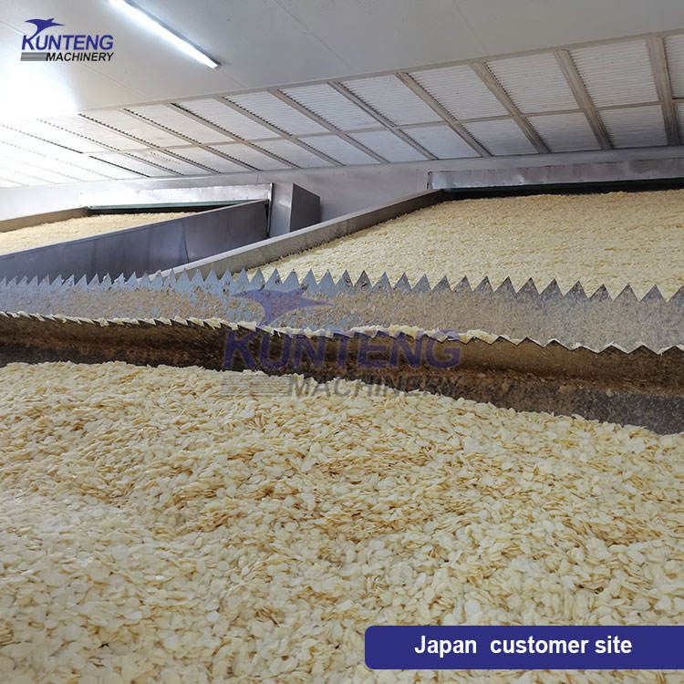 High Efficiency and High Output Vegetable & Fruit Cassava Continuous Work Dryer Mesh Belt Drying Machine Equipment