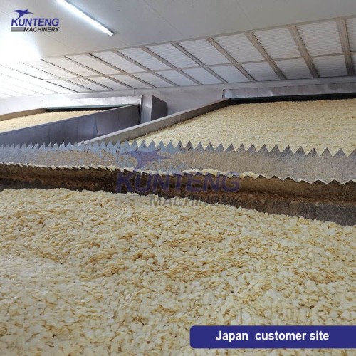 High Efficiency and High Output Vegetable & Fruit Cassava Continuous Work Dryer Mesh Belt Drying Machine Equipment