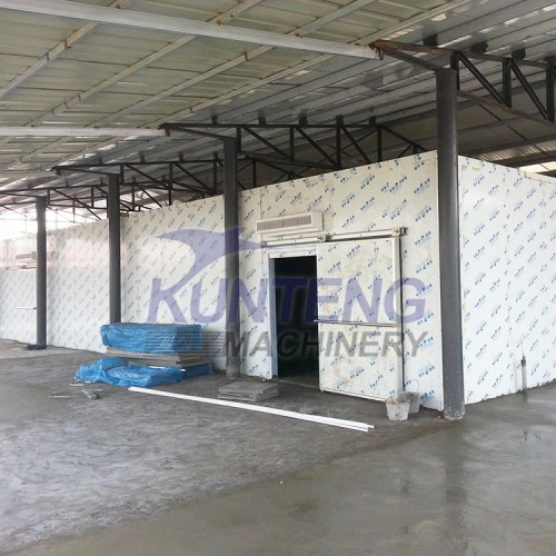 Industrial Automatic Insulation Panels Cold Room Storage Modular Cooler Freezer House for Fish Vegetable