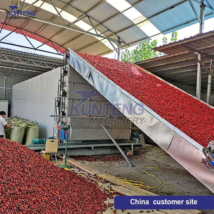 High Efficiency Continuous Pepper Dryer Vegetables Drying Machine