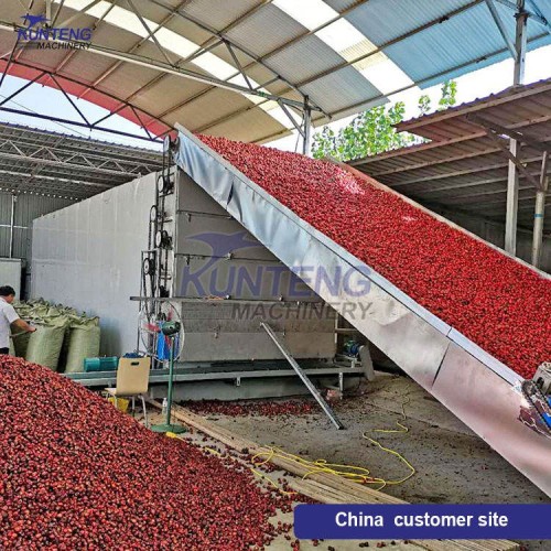 High Efficiency Continuous Pepper Dryer Vegetables Drying Machine