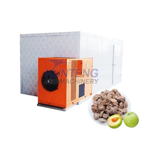High Efficiency of Heat Pumps Fruit Green Plum Drying Machine Box Dryer Equipment for Vegetables & Fruit