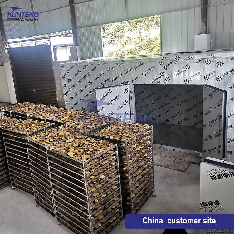 Coconut Chips Drying Machine Coconut Meat Fruit Dehydration Equipment Hawthorn and Pineapple Drying Room