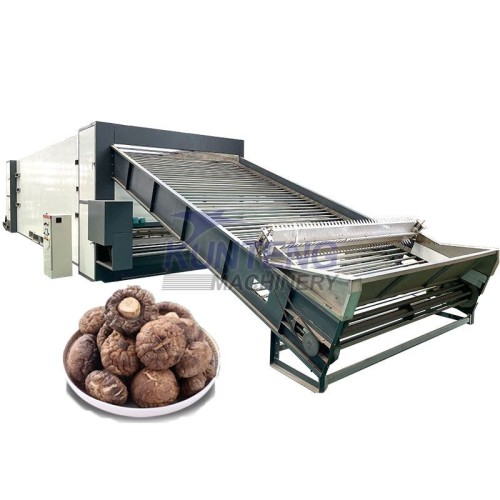 Multi layer mesh belt dryer agricultural sideline product drying equipment continuous dryer seafood dryer