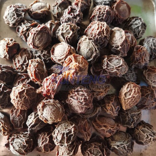 High Efficiency of Heat Pumps Fruit Green Plum Drying Machine Box Dryer Equipment for Vegetables & Fruit