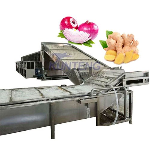 Chili Onion Tomato Mesh Belt Dryer Fruit and Vegetable Drying Line Mesh Belt Ginger Cleaning and Drying Equipment