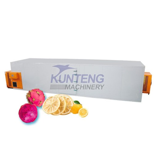 Multi functional fruit dryer vegetable tea tray dryer meat product drying equipment heat pump dryer