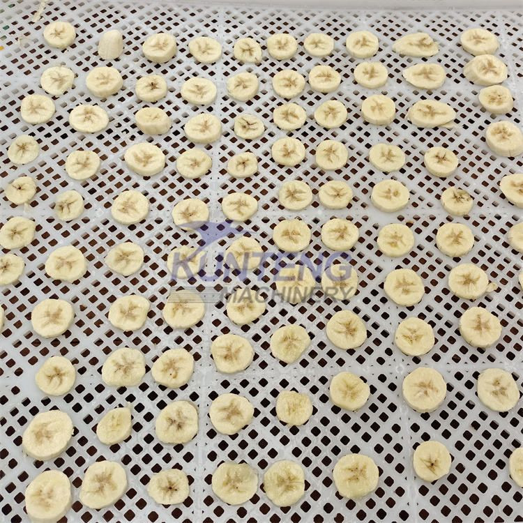 Fruit Drying Equipment for Raisin Hot Selling Mango Banana Dryer Banana Drying and Grinding Dehydration Production Line