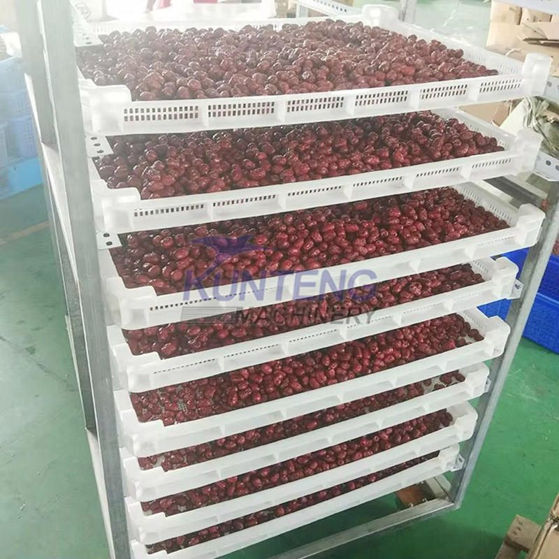Big Power Industrial Fruit Dehydrator Dryer Dried Fruit Production Equipment Dehydrated Fruit Processing Machine