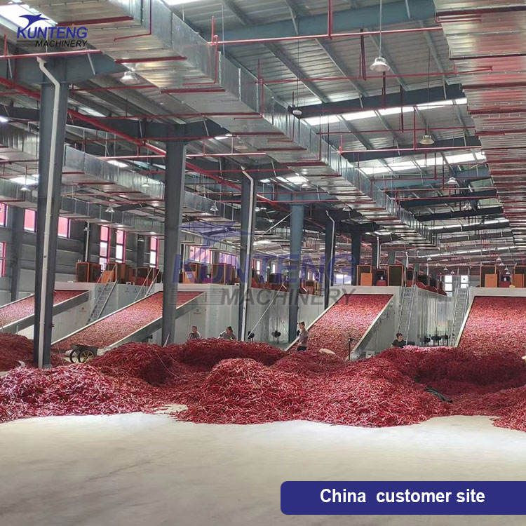 High Efficiency Continuous Pepper Dryer Vegetables Drying Machine