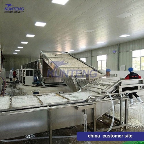 Fully Automatic Root Vegetable Dryer Ginger Cassava Drying Machine Cassava Washing Slicing Drying Production Line