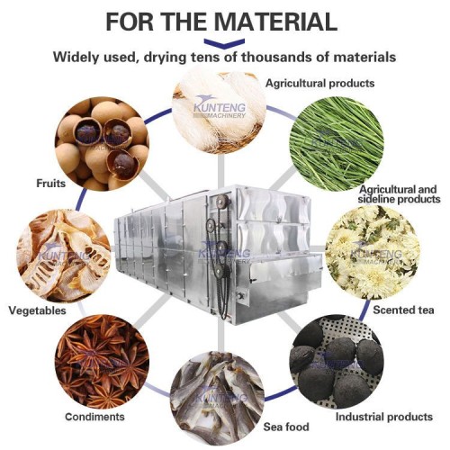 Food Kelp Drying Machine Seaweed Mesh Belt Dryer Vegetables & Fruit Continuous dryer