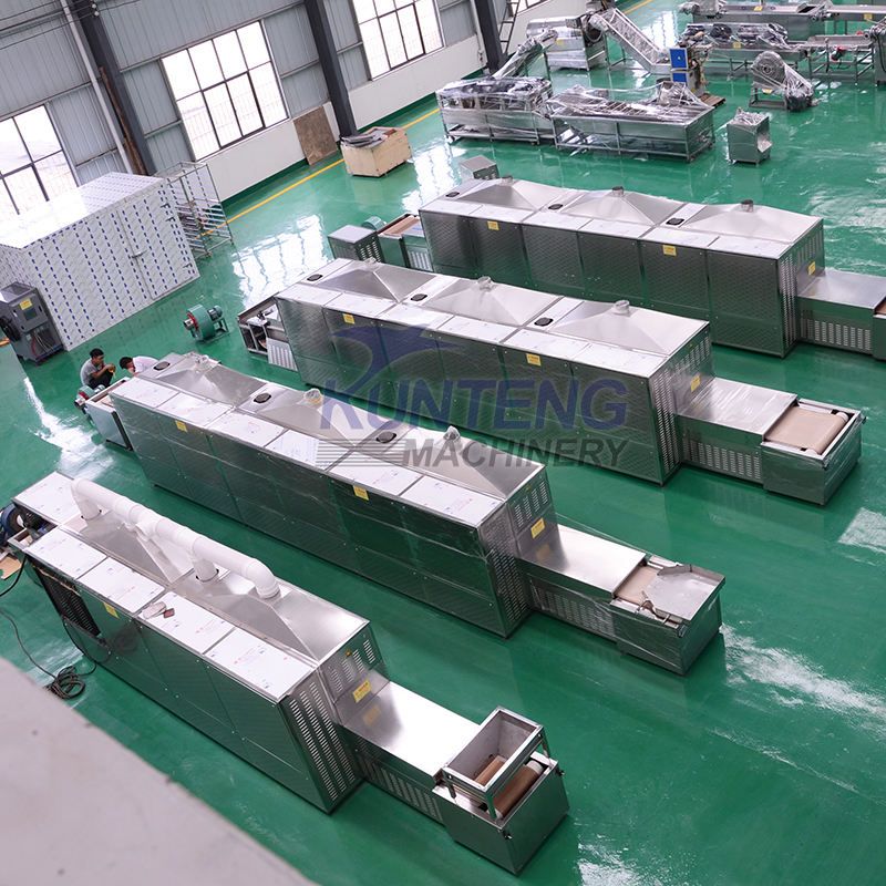 Agricultural Products Dryer Machine Industrial Grains and Nuts Microwave Dryer
