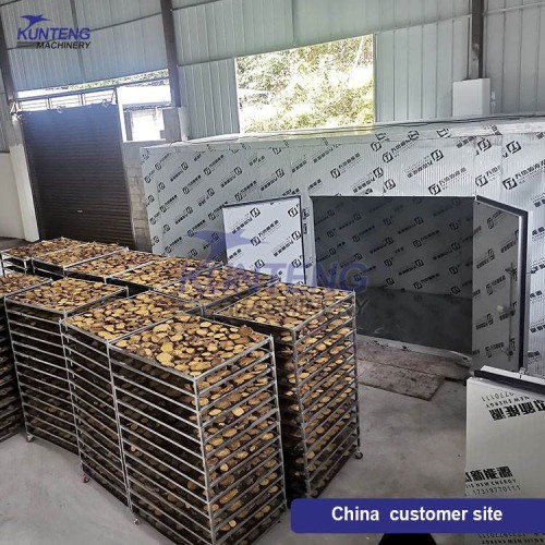Coconut Chips Drying Machine Coconut Meat Fruit Dehydration Equipment Hawthorn and Pineapple Drying Room
