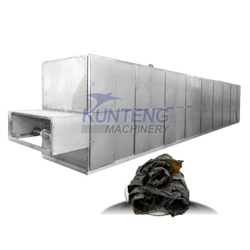 Food Kelp Drying Machine Seaweed Mesh Belt Dryer Vegetables & Fruit Continuous dryer
