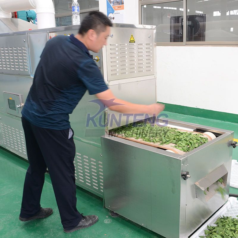 High Efficiency Source Larvae Drying Microwave Dryer Machine for Drying and Sterilization Machine