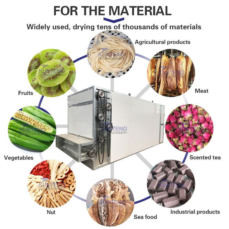 Large industrial seafood dryer fruit vegetable grain drying equipment multi-layer mesh belt fish  shrimp dryer