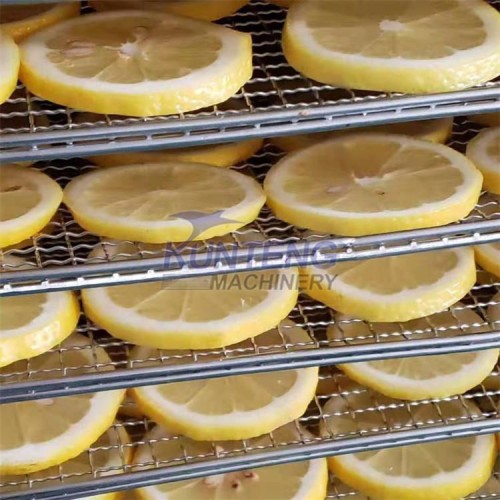 Industrial Citrus Dryer Orange Slice Fruit Tea Drying Room Orange Slice Drying Complete Set of Equipment
