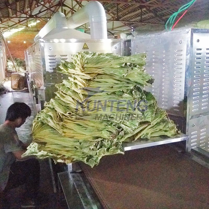 High Efficiency Source Larvae Drying Microwave Dryer Machine for Drying and Sterilization Machine