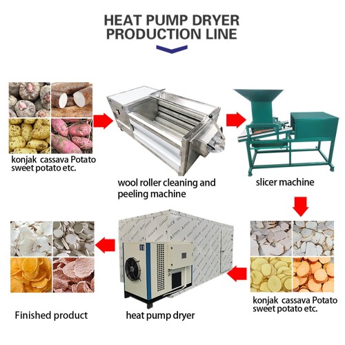 Fruit and Vegetable Drying Processing Machine