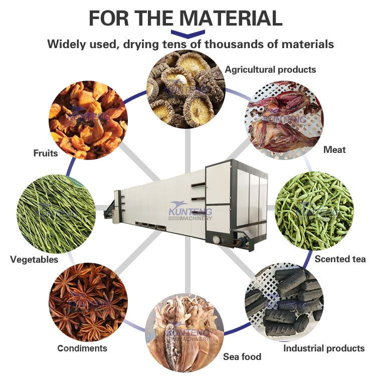 High Efficiency and High Output Vegetable & Fruit Cassava Continuous Work Dryer Mesh Belt Drying Machine Equipment