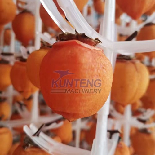 Big Power Industrial Fruit Dehydrator Dryer Dried Fruit Production Equipment Dehydrated Fruit Processing Machine