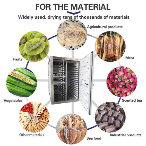 Multifunctional Fruit&Vegetable Heat Pump Dryer Ginseng Slices Drying Oven Dryer Machine Flower Tea Hot air Dryer
