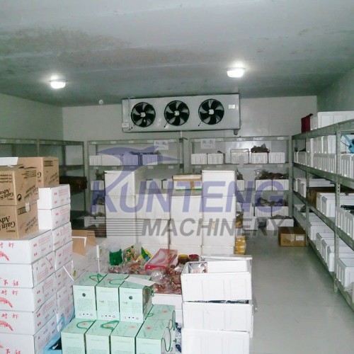 Vegetable fruit cold storage room industrial modular cold storage multifunctional walk-in cold storage