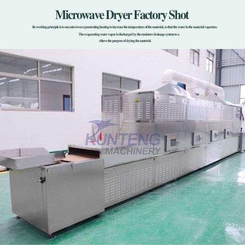 Eco-Friendly Source Larvae Drying Microwave Dryer Machine Bsf Equipment and Sterilization Machine