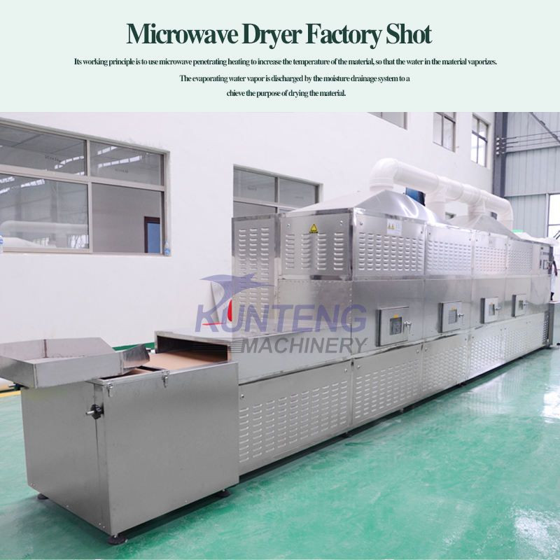 Eco-Friendly Source Larvae Drying Microwave Dryer Machine Bsf Equipment and Sterilization Machine