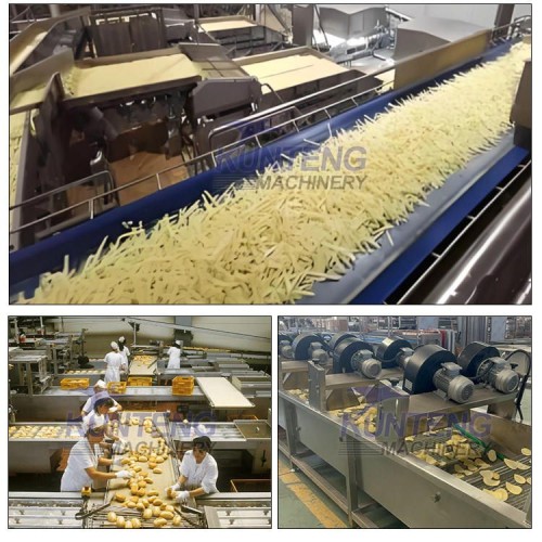 French Fry Production Line Frozen French Fries Potato Production Line French Fries and Potato Chips Production Line
