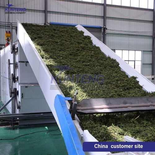Food Kelp Drying Machine Seaweed Mesh Belt Dryer Vegetables & Fruit Continuous dryer