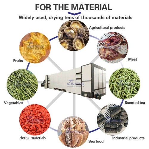 Complete Chain-type Drying Equipment Set Star Anise Curcuma Belt Drying Machine Spice and Grass Fruit Drying Machine