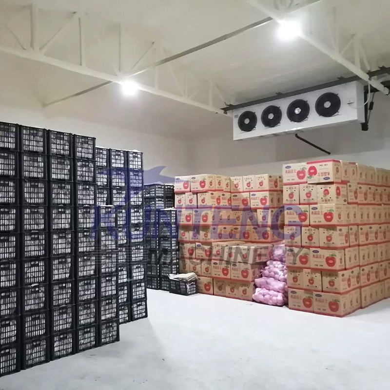 Wall Mounted Refrigeration Unit Freezer Cold Storage Room Walk in Cooler and Freezer Warehouse Equipment