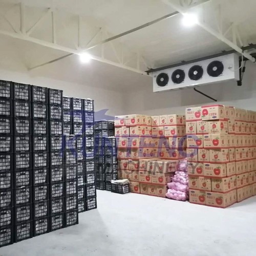 Wall Mounted Refrigeration Unit Freezer Cold Storage Room Walk in Cooler and Freezer Warehouse Equipment