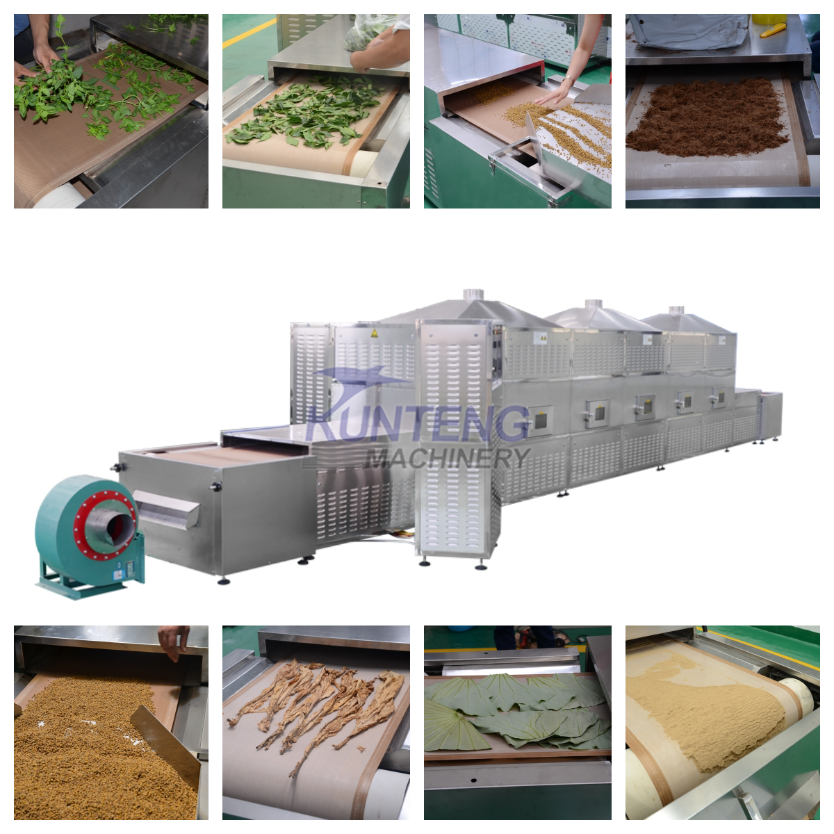 Eco-Friendly Source Larvae Drying Microwave Dryer Machine Bsf Equipment and Sterilization Machine
