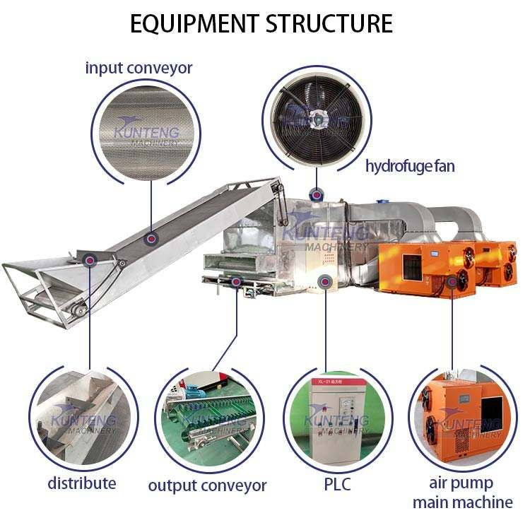 High Yield Continuous Mesh Belt Dryer for Food Sea Cucumber Dryer Small Fish Shrimp Drying Machine