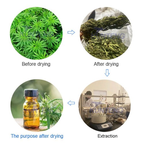 Hemp dryer grass dryer multi-layer mesh belt spice drying equipment continuous industrial product dryer