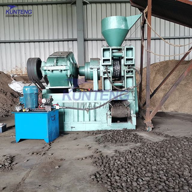 Wood Briquette Machine Coconut Shell Factory Charcoal Machine Calcium Carbonate Oval Ball Shape coke Press Machine