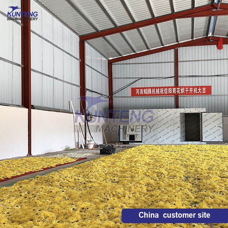 Multifunctional Fruit&Vegetable Heat Pump Dryer Ginseng Slices Drying Oven Dryer Machine Flower Tea Hot air Dryer