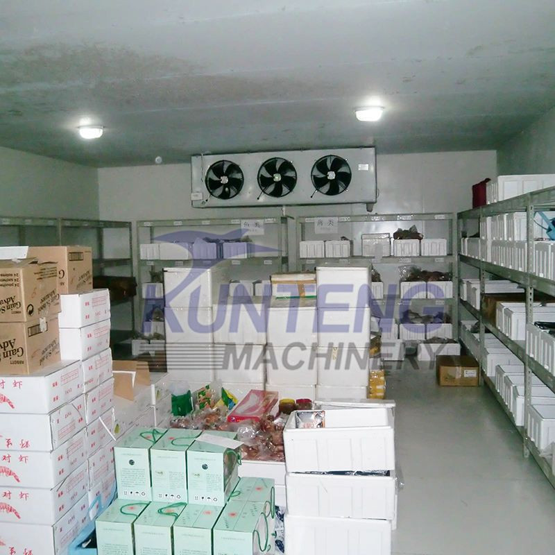 Wall Mounted Refrigeration Unit Freezer Cold Storage Room Walk in Cooler and Freezer Warehouse Equipment