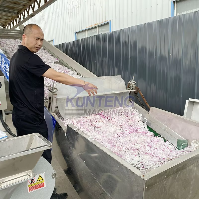 Chili Onion Tomato Mesh Belt Dryer Fruit and Vegetable Drying Line Mesh Belt Ginger Cleaning and Drying Equipment