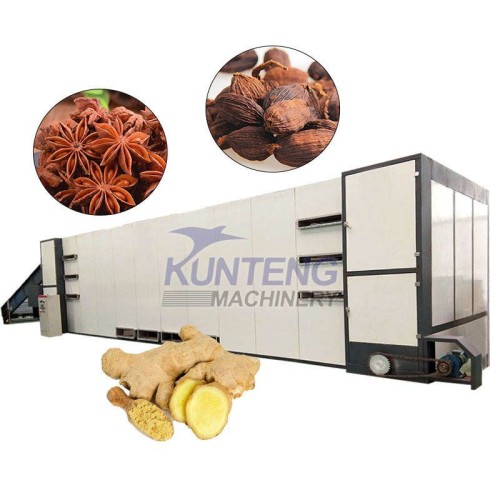 Complete Chain-type Drying Equipment Set Star Anise Curcuma Belt Drying Machine Spice and Grass Fruit Drying Machine