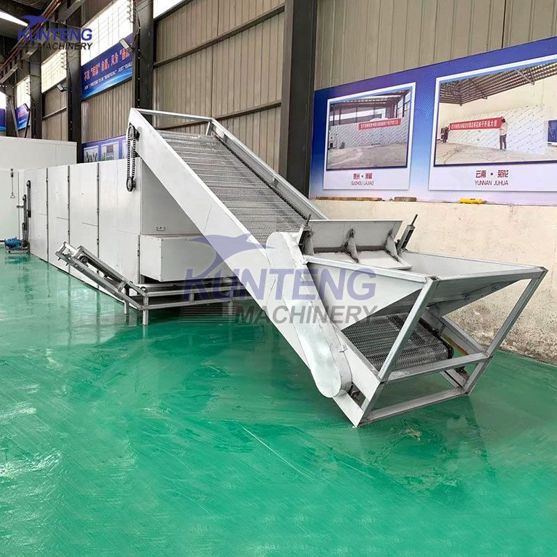 Multi layer mesh belt dryer agricultural sideline product drying equipment continuous dryer seafood dryer