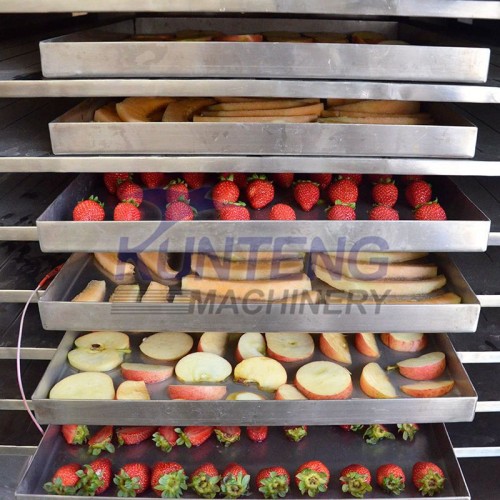 Automatic Freeze Dryer Machine for Freeze Dried Fruit Meat Fish Pet Food Vacuum Lyophilization Machine