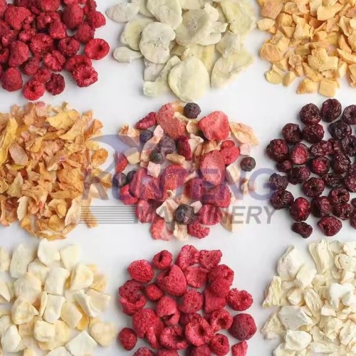 Industrial Fruit & Vegetable Food Vacuum Freeze Dryer Drying Machine Lyophilizer Equipment