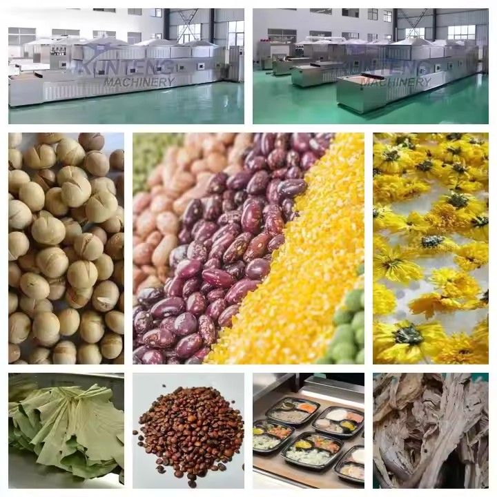 Agricultural Products Dryer Machine Industrial Grains and Nuts Microwave Dryer