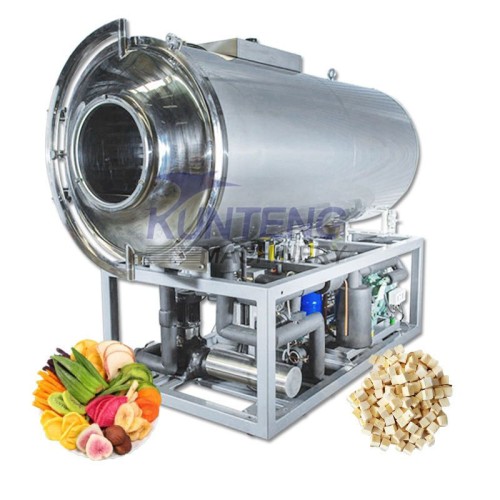 Commercial Freeze Drying Machine Vacuum Lyophilizer Freeze Dryer for Vial Molecular Biological Fish Pituitary