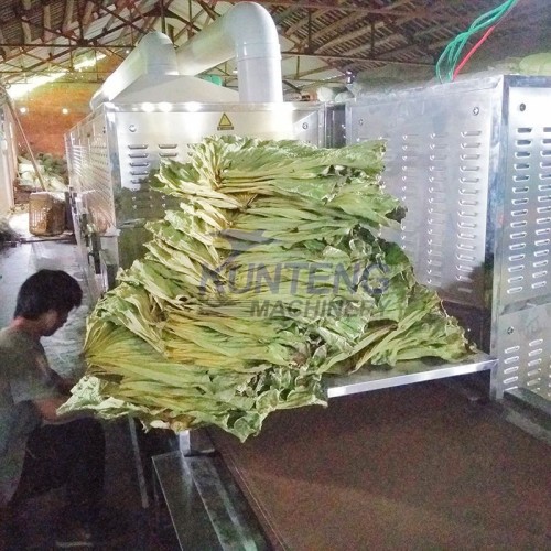 Industrial microwave dryer food rapid sterilization heating machine grain microwave dryer