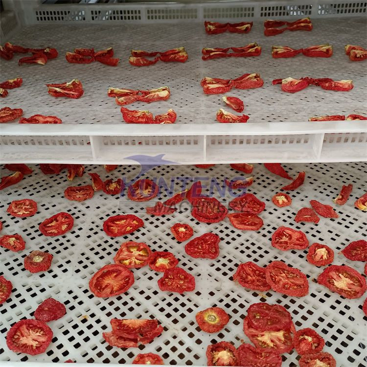 Commercial Sweet Potato Drying Machine Sweet Potato Strips and Sweet Melon Strips Dryer Equipment